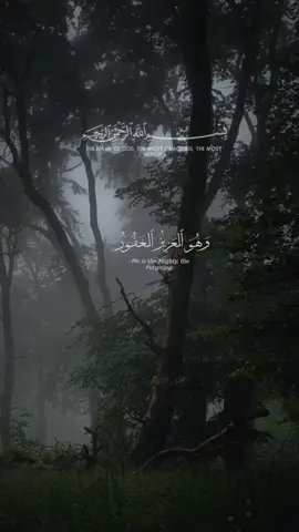 #تبارك_الذي_بيده_الملك_وهو_على_كل_شي_قدير#سورة_الملك#ماهر_المعيقلي #quran# #تلاوة_خاشعة #تلاوة #تلاوة_مؤثرة #القرآن_الكريم #اكتب_شي_توجر_عليه 