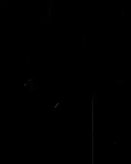 A única? KKKKK os sakura stans juraram mt! (Esse video nao é hater na sakura, mas sim contrariando os stans dela) #hinata #naruto #familiauzumaki #naruhina #fyp #tiktok 