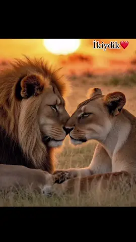 #kesferbeniöneçıkar #bebekakimlari #aslanakimlaribebek #bebekvideoları👼 #cinsiyetpartisi #aslan #4kisi #aile #akimlar 