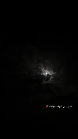 #تصويري 