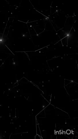 #الهجع #ستوريات #اكسبلور #اغاني_عراقيه #بدون_حقوق_حـلالـكم #شاشه_سوداء #تصميمي #ردح #عراقي #ستوريات_متنوعه #fypシ゚viral #fypシ゚viral 