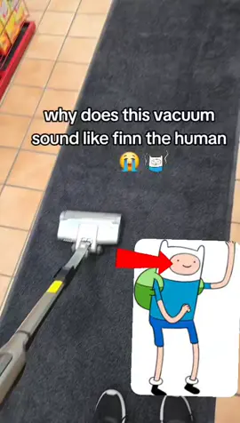 Finn ahh vacuum 💀 .  .  .  .  .  #finn #finnthehuman #adventuretime #multiversus #meme #brainrot #soundalike 