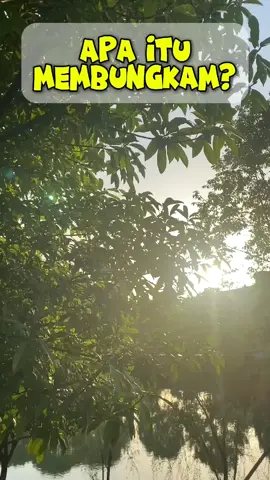 Apa itu Membungkam? #membungkam #bungkam