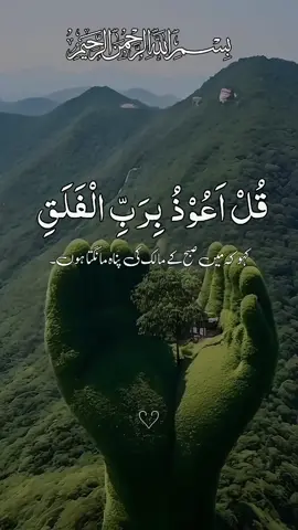Surah falaq with Urdu translation Must watch full video #القران_الكريم #قاری_عبیدالرحمن #ارح_سمعك_بالقران #راحتي_النفسيه #ارح_سمعک_وقلبک #ارح_سمعك #fyp #foryoupage #foryou #fypシ゚ @TikTok UK @TikTok 