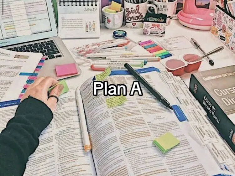 #tiktok #fyp #plan #foryou 
