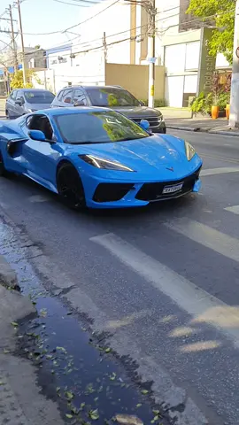 Corvette c8 azul 💙 #avenidaeuropa #cars #corvette #c8corvette 
