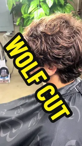 🎥✂️ Wolf Cut Refresh on My Brother!✂️🎥 Quick and sharp transformation! 🐺🔥 🔔LIKE & FOLLOW for more🔔 #WolfCut #MenStyle #HairTransformation           #creatorsearchinsights #viral #fyp #chicagobarber #lakecountybarber #barber 