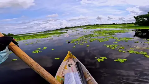 #chill #cảnhđẹp #cảnhđẹpthiênnhiên #uminhthuongkiengiang #láng cây gòn