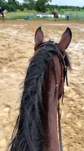 Best view - between the ears. 