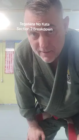 #FYP #FYF #Aikido #Judo #Jujutsu #footwork #martialarts #japanesemartialarts 