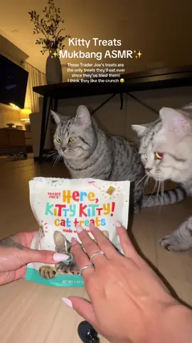 The crunch at 1:01 tho  😮‍💨😮‍💨😮‍💨 @trader joes #cats #asmr #traderjoes