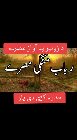د زوبیر پہ آواز مصرے  حد یہ کڑی دی یار #tiktokvideo #faryou_tiktok_viral_video_faryour_page #rabapmange #paryoupage❣️ #faryoupagetiktok #funnyvideos #rabapmange 
