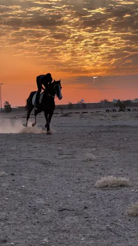 #مربط_الجبلين 