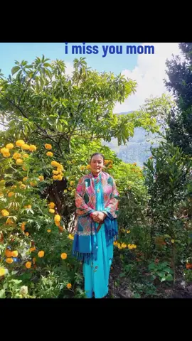 i miss you mom