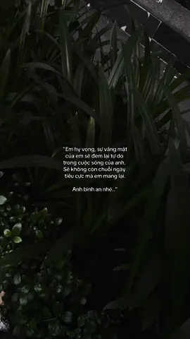 Anh bình an nhé.. #tinhyeu #fyp #viral #buon_tam_trang 