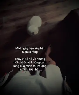 Một ngày bạn sẽ phát hiện ra rằng. Thay vì kể nể về những nỗi uất ức và không cam lòng của mình thì im lặng là cách tốt nhất…#xuhuongtiktok#tamtrang#fypシ゚#7749hieuung#viral 