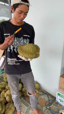 Lỗi kĩ thuật