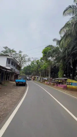 Tebak dimana tempat dan jalan ini? 😋 yang bener ga dapet apa2 🫰🏻 #pesonasukabumi #infopesonasukabumi #sukabumi  #sukabumijawabarat #sukabumiexplore #explore #kabupatensukabumi #hiddengems #cikidang #sawit 