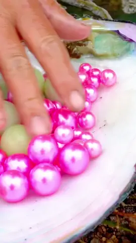 Zhuhai Dragon Palace! The girl salvaged clams and found a hundred precious pearls in her belly #pearl #jewelry #seafood #pickingpearls #huntingpearls #fyp #foryou #tiktok 