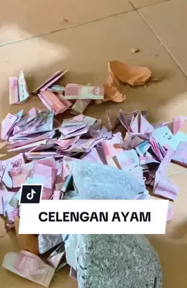 Yakin nih kalian ga mau juga?  Karna celengan ini terbuat dari Tanah liat yang bikin kalian semngat 🤭 #celengan #celenganayam #tabungan