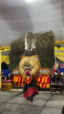 #harimautenggara #harimautenggara👺 #reog #reog_ponorogo #ponorogo24jam #ponorogo 