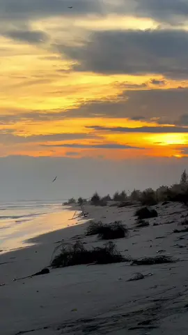 🥀#sadsong #sunset #videoaesthetic #polosankatakata #polosanvideo #videomentahan #fyppppppppppppppppppppppp #tiktok #fypage #pantaivibes #soreaesthetic 