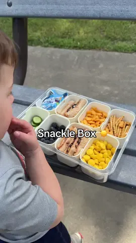 Snackle Box is gonna be used so much this summer 🍉 #snacklebox #snackbox #snacks #summeressentials #toddlermom 
