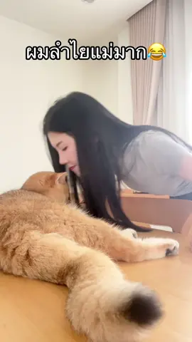 ลำไยนุด 😂😂