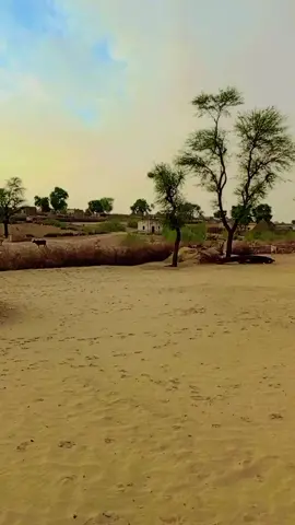 #tiktokpakistan #followrssupports #viralvideo @علــي شيــر _روشــن❤ #@Ali Nawaz Rahimoon 