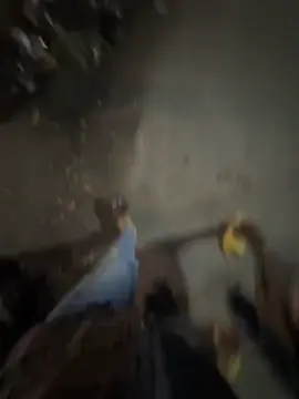 _আমরা আছি নাচার গবেষণার কেন্দ্রে... 😂🤣