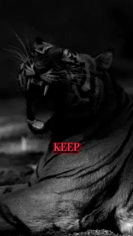 Keep F*ing Going. Best Motivational Quote. #listentothis #motivationaltiktok #motivate #motivated #motivationalvideosforyou #motivationalclip #listentothiseveryday #motivationoftheday #motivation #growbeyondyourlimits #mtivationalvideo #motivationalquotes #motivationalquote 
