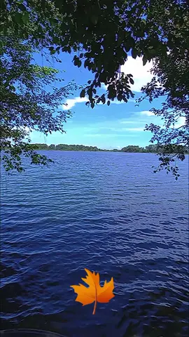 # Duyên đoạ đày # Sáo điện tử 