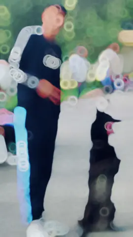 💪🏻❤️#CapCut #fyp #algeria #الشعب_الصيني_ماله_حل😂😂 #pourtoi #foryou #ترند #explore #pyf #WheneverWherever 