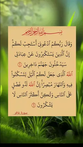 #لا_اله_الا_الله_محمد_رسول_الله🎧🌿🤍 #fypシ゚viral🖤tiktok☆♡🦋myvideo #quran_alkarim #islamic_video #fyp #foryou #🕋📿🕌regay_islam🌼🦋🤲 #لا_اله_الا_الله_محمد_رسول_الله☝🏻،💙،، 