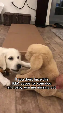 Everyone needs an emotional support puppy🥺🩷 *AAP recommends that babies under 12 months old should not sleep with stuffed animals, blankets, or pillows because they can increase the risk of suffocation, strangulation, and SIDS. #babyanddog #sisters #dogsoftiktok 