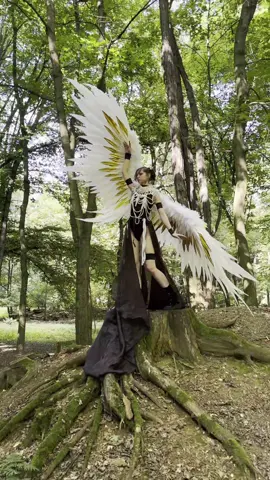 White gold #wings, size L, god for #dance, for #cosplay, for #photo, wingspan 4m. Tiktok/Reddit/X(Twitter) Angels_pawprint #wings #dancewings #angelswings #angel #handmadewings #craft #craftwings #wingsuit #bluewings #cosplay  #photoangel #photosession  #skrzydłaanioła #Engelsflügel #Alidangelo #крыльядляфотосессии #ангел #крыльяангела #etsy  #bluewings #cute #cosplaywings #blackwings #whitewings #angelwings #night #amazing #me #beautiful #Love #fashion 