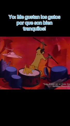 Los gatos a las 3 am!  #CapCut #fypagee #fypシ゚viral #parati #tiktok #tiktoklatam #tiktousa #fyp #capcut_edit #duhast #rammstein #cats #catlover #aristocats #disney #gatojazz 
