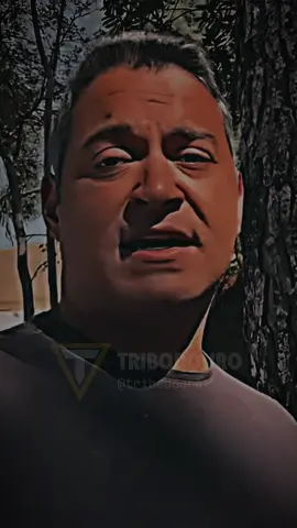 Continue no seu propósito! - Luiz Augusto #reflexão #tribodouro 