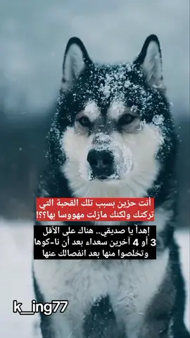 #foryou #foryoupage #fyp #k__ing77 