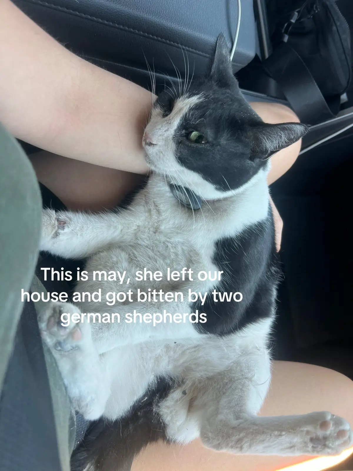 please share this i don’t wanna let her go