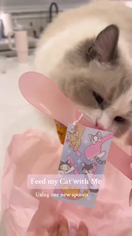 Feed my cat with me 🌸 First time using these spoons, and the pink makes me so happy @Penguinpepperpia :) Plz check out Cocktails and Meows on Instagram and support their small business! 🤍  〰️〰️ • Bandana: @Everything Doggo 🏷️ BENNETT  〰️〰️ • @darwinspetfood 🏷️ BENNETT • @Native Pet  • Quail egg • @Adored Beast Apothecary • Bark & Whiskers Ubiquinol  • @Beasts Feast  • @Lonestar Pet Treats LLC  #itsbennetttt #bennetttheragdoll #ragdoll #ragdollcat #lecreuset #cat #cattok #catsoftiktok #catslife #catlover #catlife #cats #catlove #catloversclub #petlovers #petlite #petparent #catparent #catlover #catmom #catmomlife #catfood #whatmycateats #whatifeedmycats #feedmycat #feedmycatswithme #catfeeding #cateating #cattreat #cattreats #catasmr #catfeedingroutine #petcat #bestcatfood #indoorcat #foodforcats #domesticcat #catfoodprep #catcare #catfoodrecs #felinenutrition #obligatecarnivore #catfoodrecommendations #feedraw #rawfed #rawfedcat 