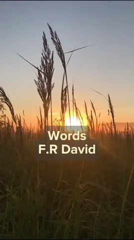 #CapCut #letrasdecanciones #letrasdecanciones🎧🎶 #letrasbonitas #letrasdemusicas #letras #letrasenespañol #canta #aprendeingles #frdavidwords #frdavid #cantaeningles #aprendeinglescantando #cancionesparadedicar 