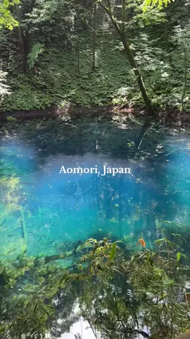 Lakes in Aomori, Japan. It’s beautiful. #aomorijapan #japantourguide #japanesetourguide #hiddengemsinjapan #十二湖 