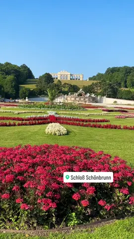 #schönbrunn #schloßschönbrunn #wien #austria #österreich🇦🇹 #vienna #tiktokaustria #viralvideo #wonderful #woanderfulvienna #wonderfulplaces #turistinvienna #turistinviena #visitaustria #visitvienna 