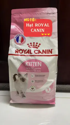 Hạt mèo con Royal Canin Kitten Bơ béo mê lắm ạ #royalcaninkitten #royalcanin #cat #xuhuong #anngon 
