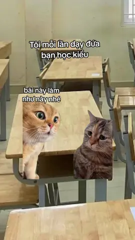 có ai như bạn tôi ko#meow #meme #fpy #giaitri #xuhuongtiktok #haihuoc #xuhuong 