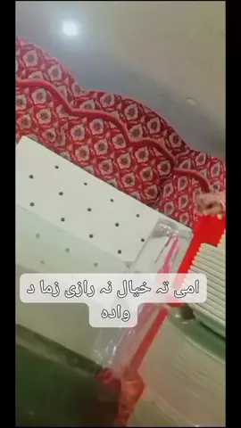 ami ta khyal na raze zamong da wada fani video #😭😰💔 #👍💝👌🌷🥀💖🧡💛💚💙💔✌️💘♥️❣️🌹💗🇸🇦💓💞💞💜❤️💕😰✅🇵🇰😱😭 #videoviral #foryou #foryou #foryou #foryou #foryou #pakistan #a💔s 
