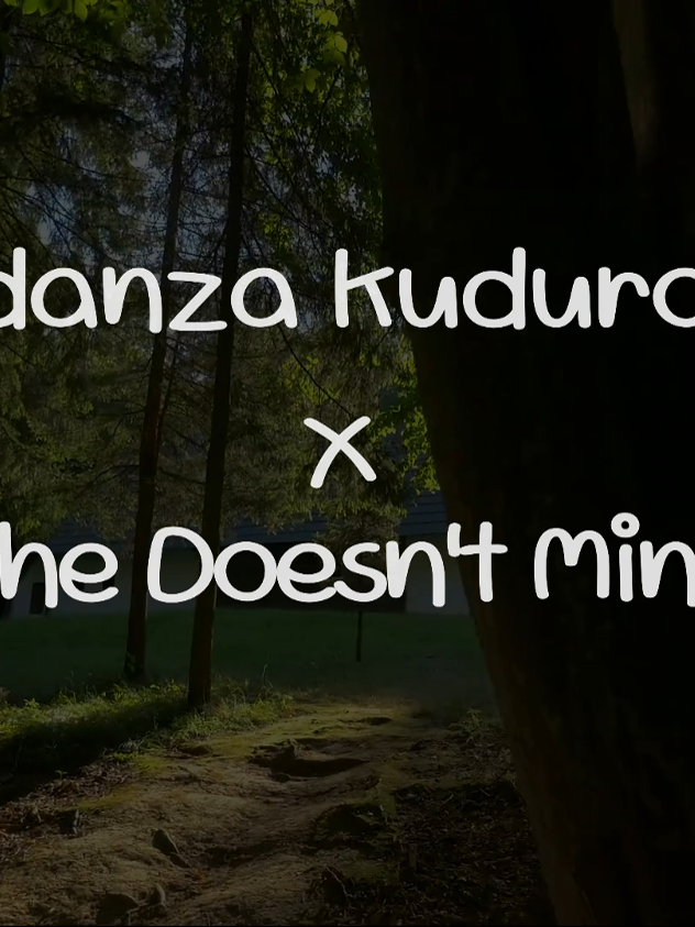 danzakuduro #danzakuduro #shedoesntmind #remix #fypp #dance