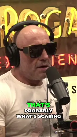 The Threat of Retribution, Biden's Fear of Trump's Vindictiveness #joerogan #joeroganpodcast #joeroganclips #timdillon