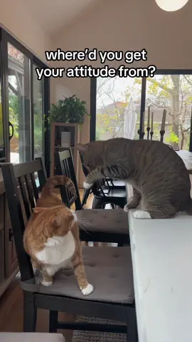 it’s genetic🧬